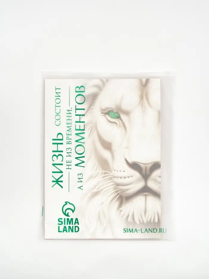 Пакет подарочный «Новогодняя сказка», с ободком, 31 × 11 × 40 см Пакет подарочный «Новогодняя сказка», с ободком, 31 × 11 × 40 см