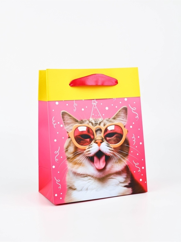 Пакет ламинированный двухсторонний «Котик», MS 18 × 23 × 10 см