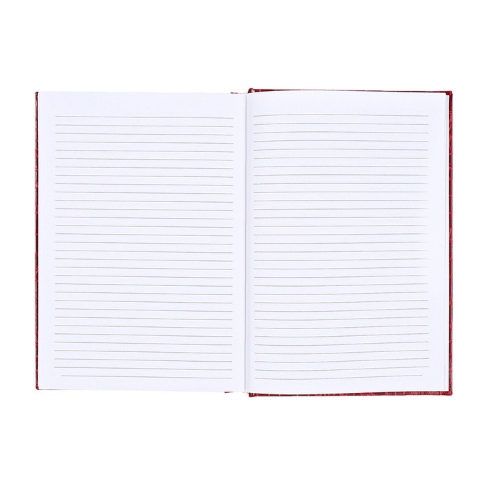 Ежедневник датированный 2025 года, deVENTE. Flag, Attomex. Arkona, твердая обложка бумвинил с поролоном, ляссе, блок 70 г/м2, красный Ежедневник датированный 2025 года, deVENTE. Flag, Attomex. Arkona, твердая обложка бумвинил с поролоном, ляссе, блок 70 г/м2, красный