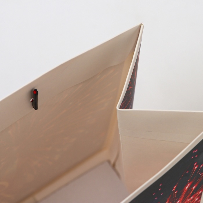 Пакет ламинированный «Фейверк», MS 23 × 18 × 10 см Пакет ламинированный «Фейверк», MS 23 × 18 × 10 см