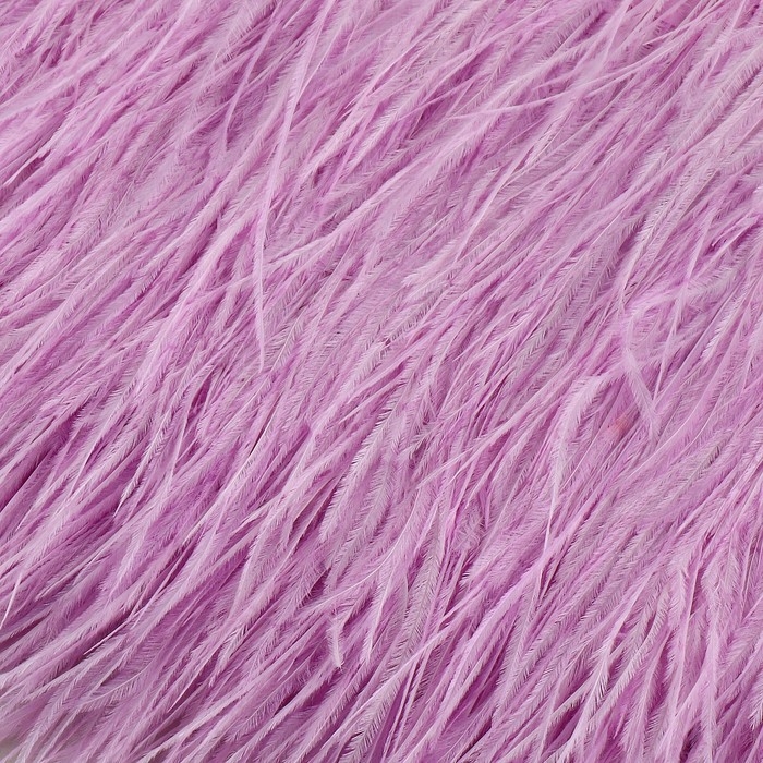 Тесьма с перьями страуса, 8-10 см, 5 ± 0,5 м, цвет сиреневый Тесьма с перьями страуса, 8-10 см, 5 ± 0,5 м, цвет сиреневый