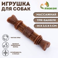 Игрушка для собак "Шипастая кость", TPR+Бамбук, массажная,14 х 3,5 х 5