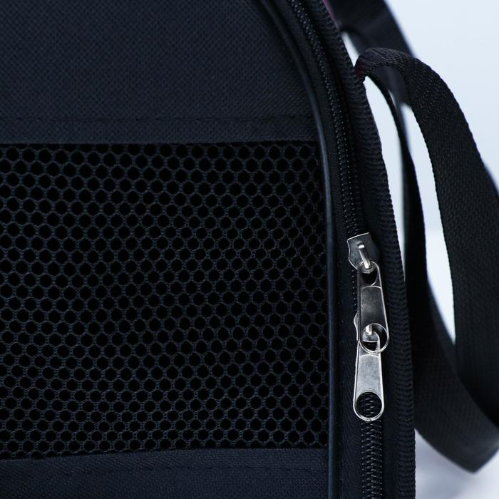 Сумка - переноска для животных с принтом, 40 х 25 х 26, микс цветов Сумка - переноска для животных с принтом, 40 х 25 х 26, микс цветов