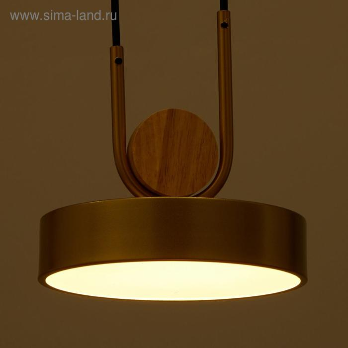 Светильник BayerLux 35425/1 LED 24Вт 3000-6000К золотой 18х18х20 см