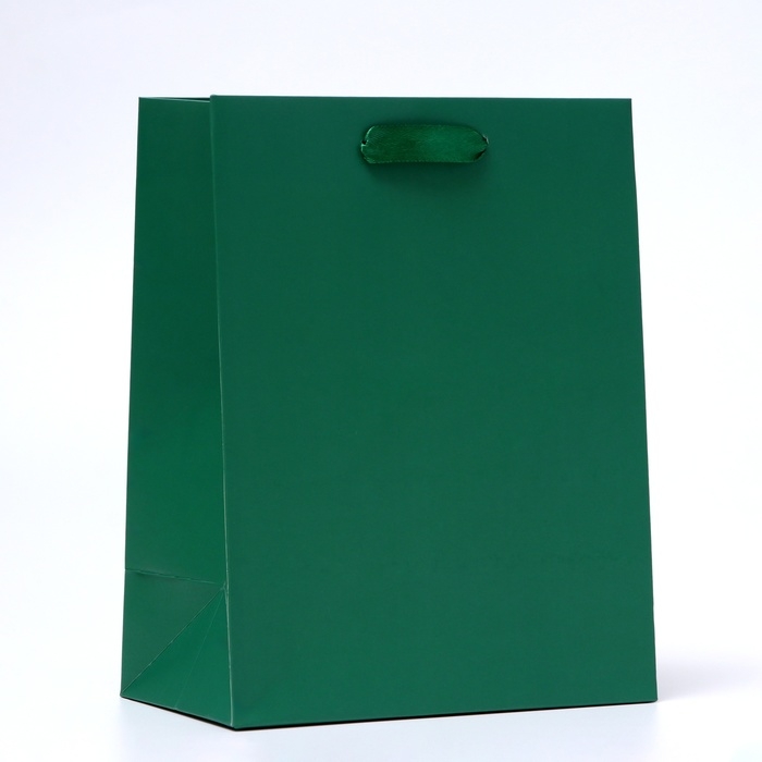 Пакет ламинированный «Зелёный», 18 х 23 х 10 см МИКС