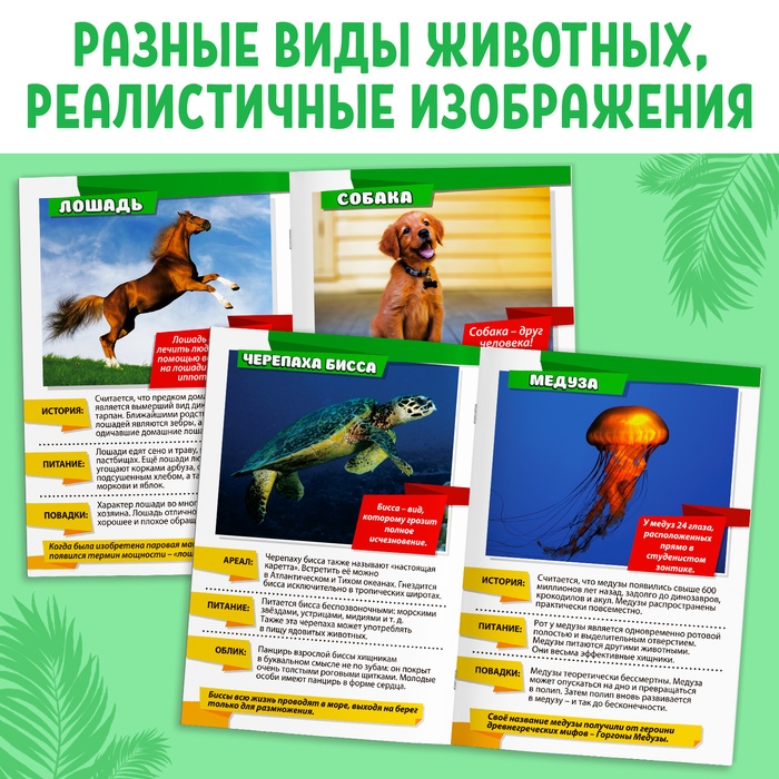 Мини-энциклопедии «Мир животных», 8 шт. по 20 стр. Мини-энциклопедии «Мир животных», 8 шт. по 20 стр.