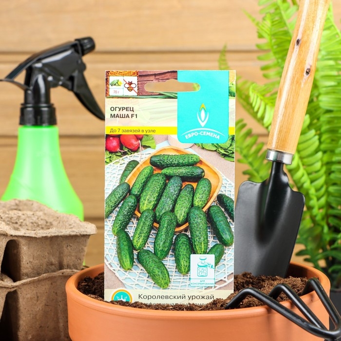 Семена Огурец  Семена Огурец "Маша" F1, партенокарпический, 5 шт.
