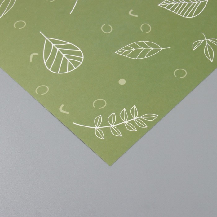 Бумага для скрапбукинга Бумага для скрапбукинга "Зелёные листочки" плотность 180 гр набор 5 шт 30,5х32 см