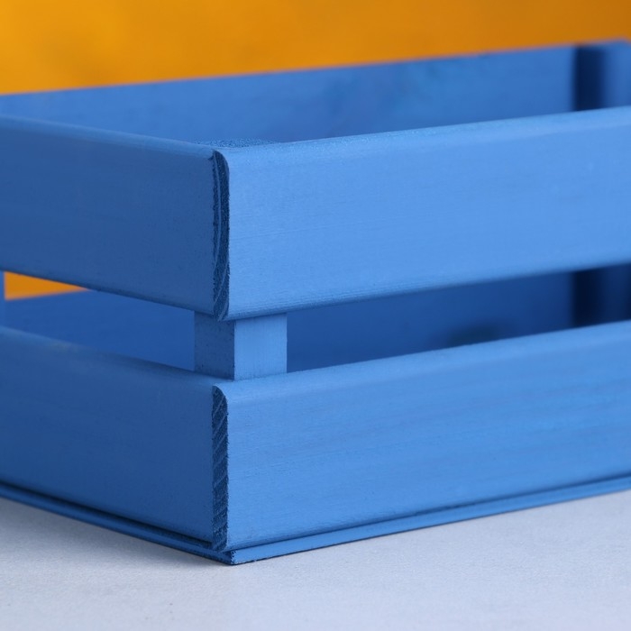 Кашпо деревянное 24.5×13.5×9 см  Кашпо деревянное 24.5×13.5×9 см "Двушка Лайт", двухреечное, синий Дарим Красиво