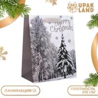 Новый год. Пакет подарочный, ламинированный, "Лесная атмосфера",18 х 23 х 10 см.