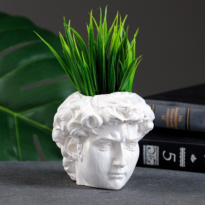 Кашпо - органайзер Кашпо - органайзер"Голова Давида" перламутр, 9х9х9см