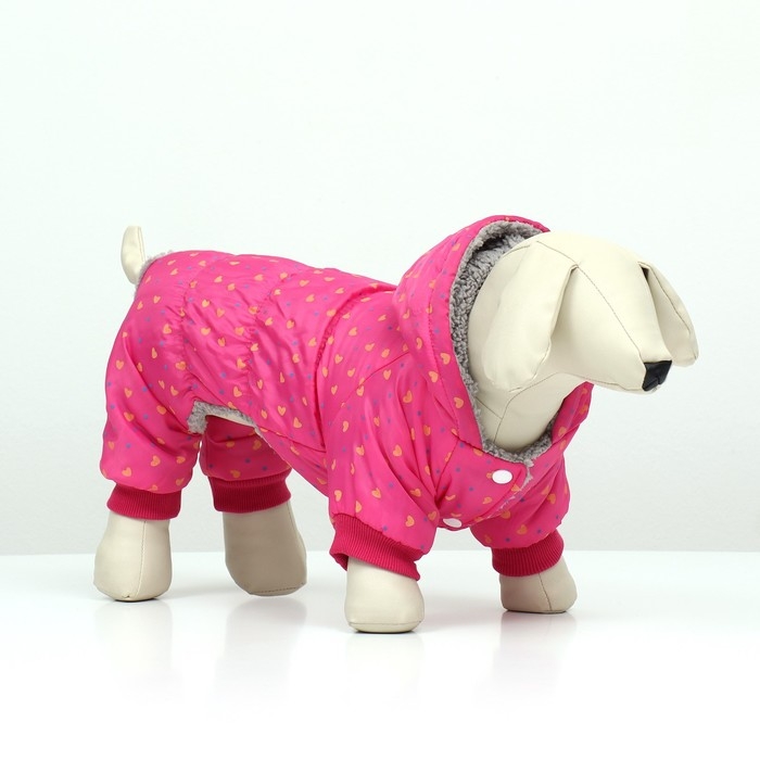 Комбинезон  Комбинезон "нежный путь" на меховом подкладе, размер S  (ДС 25, ОШ 25, ОГ 35 см), розовый