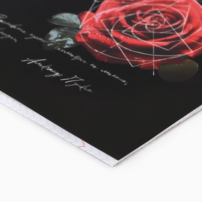 Предметная тетрадь А5, 48 л на скрепке «Силуэт.Геометрия» Софт тач лам, уф лак Предметная тетрадь А5, 48 л на скрепке «Силуэт.Геометрия» Софт тач лам, уф лак