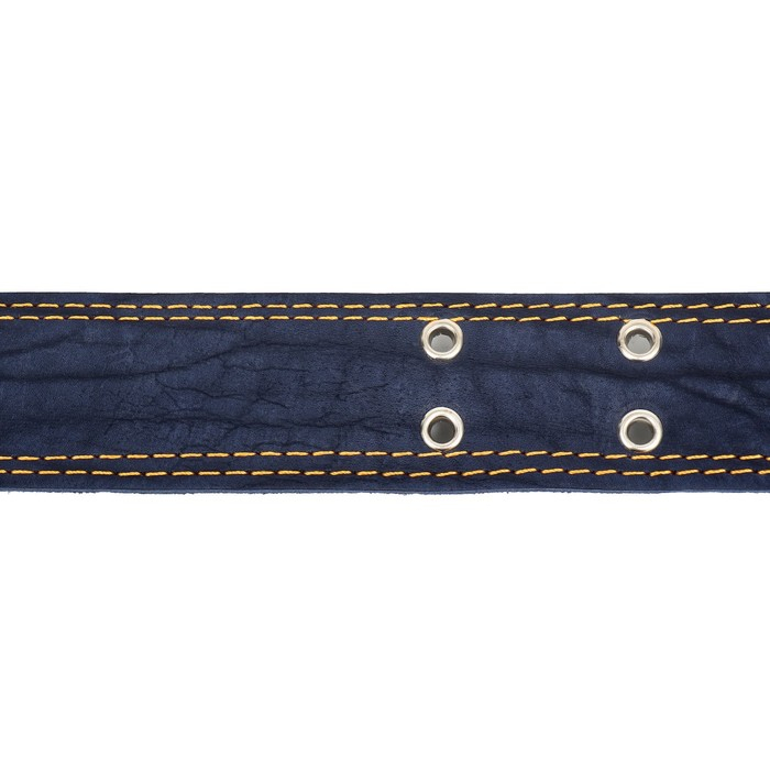 Ошейник комбинированный кожа/брезент, безразмерный, 83 х 4,5 см, ОШ 20-70 см, синий Ошейник комбинированный кожа/брезент, безразмерный, 83 х 4,5 см, ОШ 20-70 см, синий