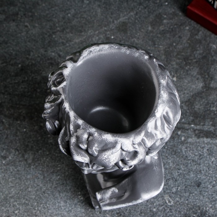 Кашпо - органайзер  Кашпо - органайзер "Бюст Давида" большой, серый, 28см