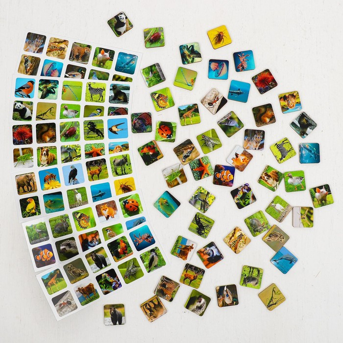 Сортер «Животный мир» Сортер «Животный мир»