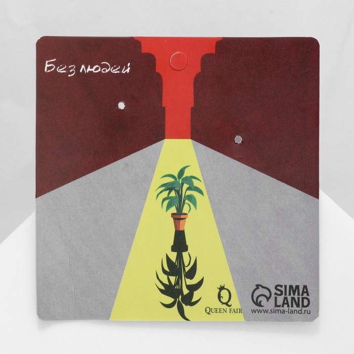 Серьги акрил «Леон», цветные Серьги акрил «Леон», цветные