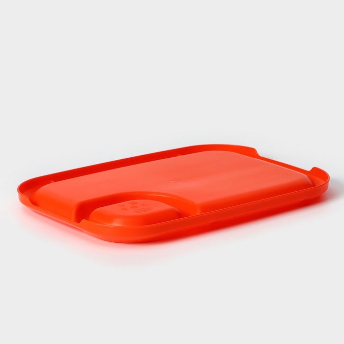 Блюдо для шашлыка с соусницей 30,3×21×2,5 см, цвет оранжевый