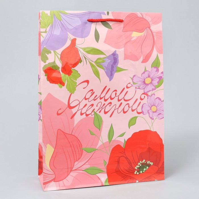 Пакет подарочный ламинированный, упаковка, «Нежность», L 28 х 38 х 9 см Пакет подарочный ламинированный, упаковка, «Нежность», L 28 х 38 х 9 см