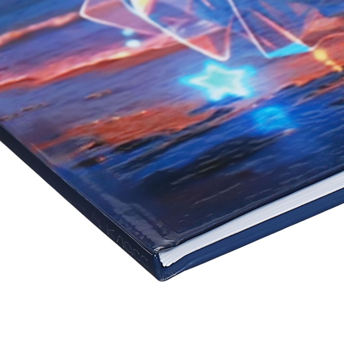 Дневник универсальный для 1-11 классов Дневник универсальный для 1-11 классов "Аниме. Музыка", твёрдая обложка, голография, 40 листов