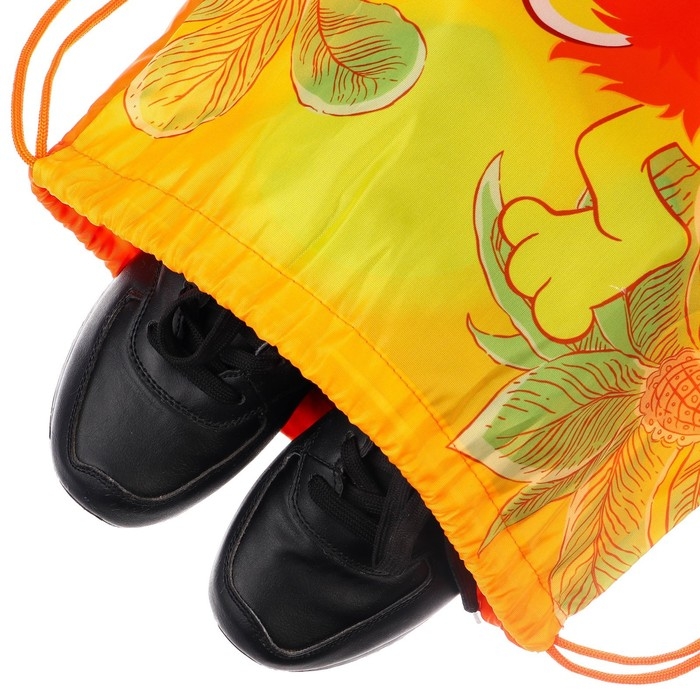 Мешок для обуви 420 х 350 мм, Союзмультфильм Львенок и Черепаха (мягкий полиэстер, плотность 210D) Мешок для обуви 420 х 350 мм, Союзмультфильм Львенок и Черепаха (мягкий полиэстер, плотность 210D)