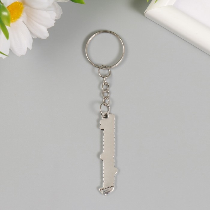 Брелок металл  Брелок металл "Мотивация" 0,9х5 см