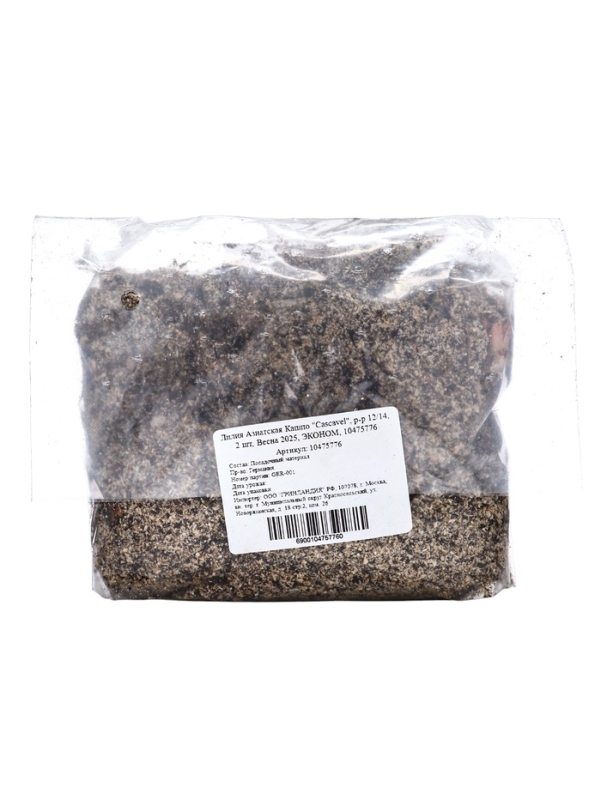 Лилия Азиатская Кашпо "Cascavel", р-р 12/14, 2 шт, Весна 2025, ЭКОНОМ,