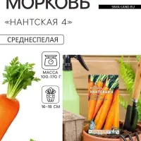 Семена на ленте Морковь &laquo;Нантская 4&raquo;, 8 м, &laquo;Росток-гель&raquo;