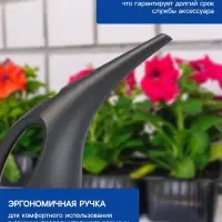 Лейка с длинным носиком, 1.5 л, без рассеивателя, чёрная, Greengo