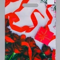 Пакет подарочный &laquo;Подарок для неё&raquo;, полиэтиленовый с вырубной ручкой, 29&times;40 см, 35 мкм