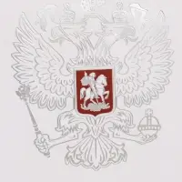 Пакет подарочный &laquo;Россия&raquo;, 25.5&times;30&times;9 см