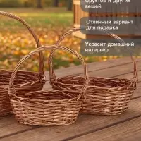 Корзина плетёная для хранения Leni, лоза, с ручкой, коричневая, набор 3 шт.