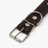 Ошейник &laquo;Строгий шип&raquo;, 70&times;3.5 см, ОШ 45-60 см, кожа, чёрный