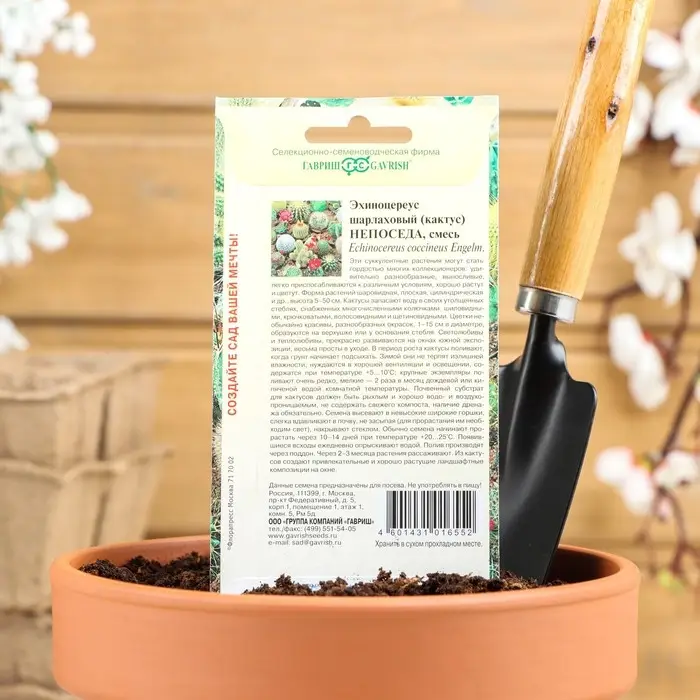 Семена комнатных цветов Кактус  Семена комнатных цветов Кактус "Непоседа", ц/п,  0,05 г