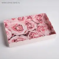 Коробка для печенья, кондитерская упаковка с пластиковой крышкой, My best wishes, 22 х 15 х 3 см