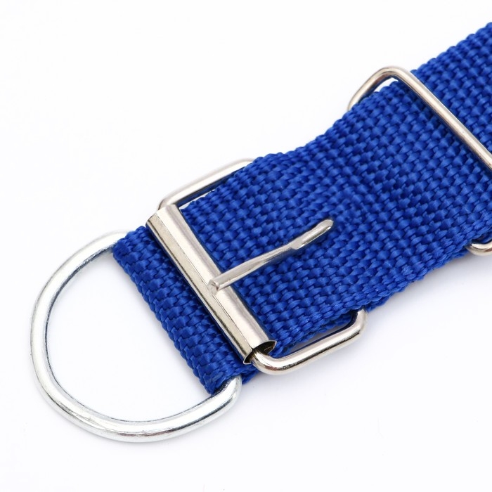 Ошейник клепаный, 48,5 х 3 см, ОШ 31-40 см, полиэстер, синий Ошейник клепаный, 48,5 х 3 см, ОШ 31-40 см, полиэстер, синий
