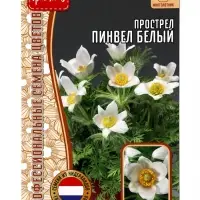 Семена цветов Прострел Pinwheel White 3 шт. 12.29 г