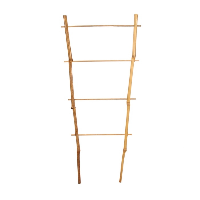 Шпалера, 60 × 20 × 1 см, бамбук, «Одинарная», Greengo Шпалера, 60 × 20 × 1 см, бамбук, «Одинарная», Greengo