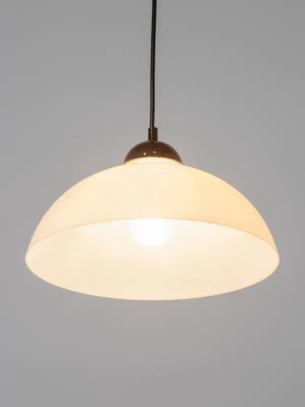 Светильник подвесной Светильник подвесной "Хоста" 1122/1, 1х15Вт, Е27, белый/черный 29х29х13(74) см