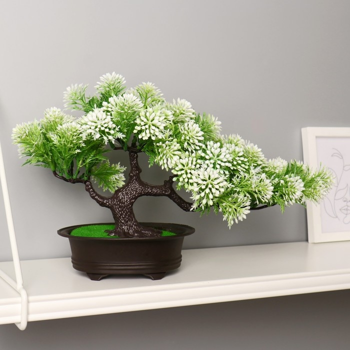 Бонсай Бонсай "Звёздник" 16х22 см, микс