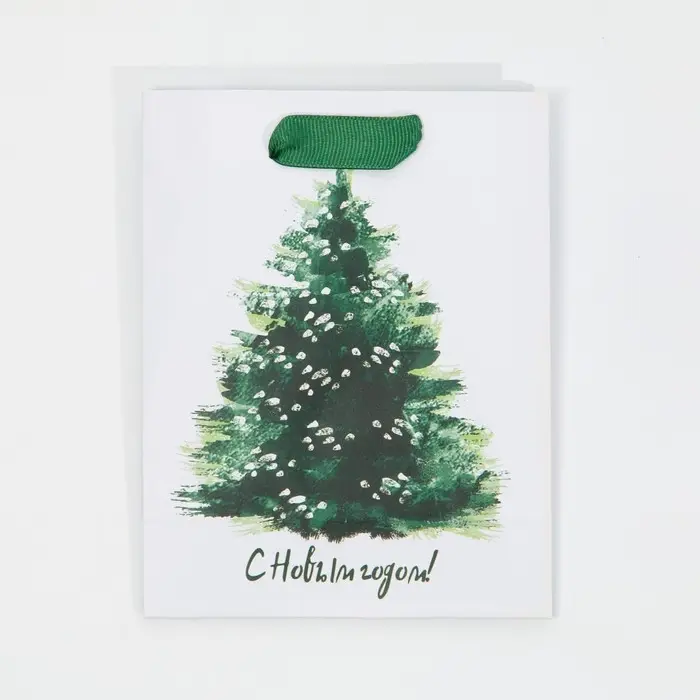 Пакет подарочный новогодний ламинированный &laquo;Морозная свежесть&raquo;, 12 х 15 х 5.5 см