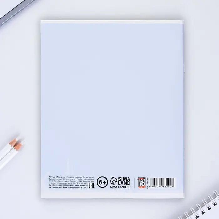 Тетрадь в клетку, предметная, 48 л.,на скрепке, А5 &laquo;МИНИМАЛИЗМ. География&raquo;