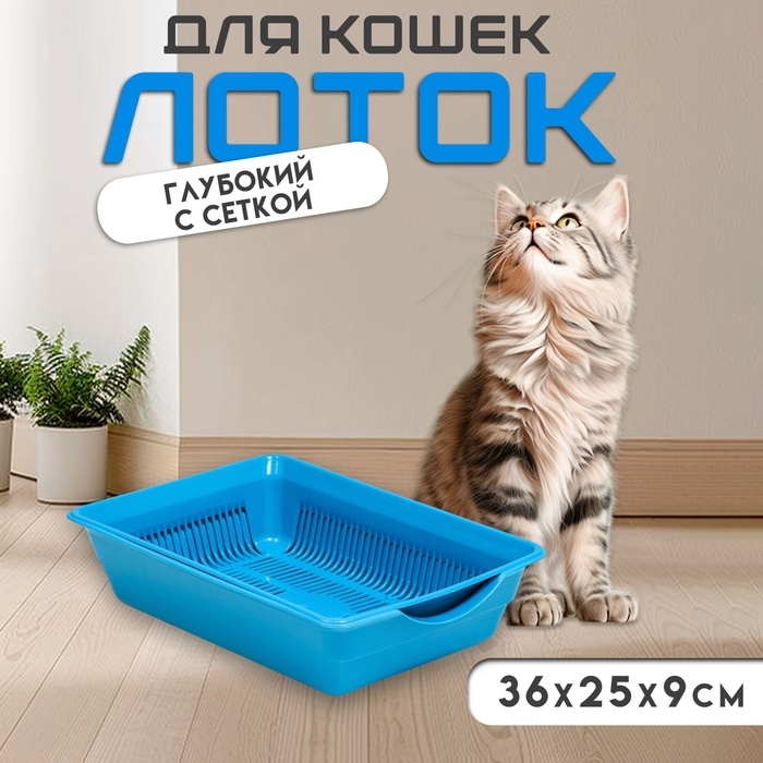 Туалет глубокий с сеткой 36 х 25 х 9 см, голубой Туалет глубокий с сеткой 36 х 25 х 9 см, голубой