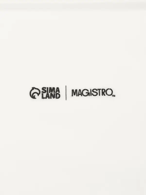 Менажница Magistro &laquo;Бланш&raquo;, 31&times;21&times;3.5 см, 4 ячейки, фарфор, белая
