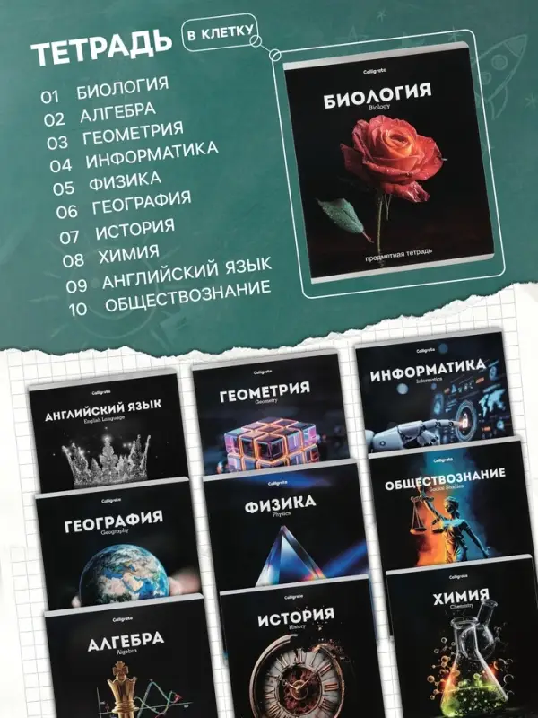Тетради предметные 12 шт. &laquo;Черная серия&raquo;, 48 листов, со справочной информацией
