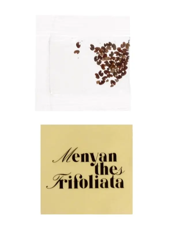 Набор для опытов &laquo;Выращиваем травку&raquo; своими руками, красный