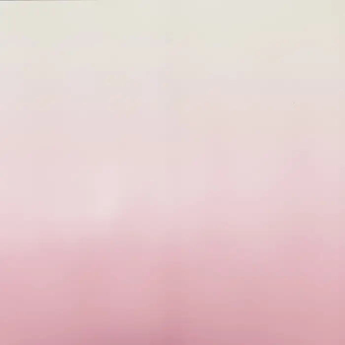 Пленка для цветов матовая, «Перелив», 57×58 см, розовый