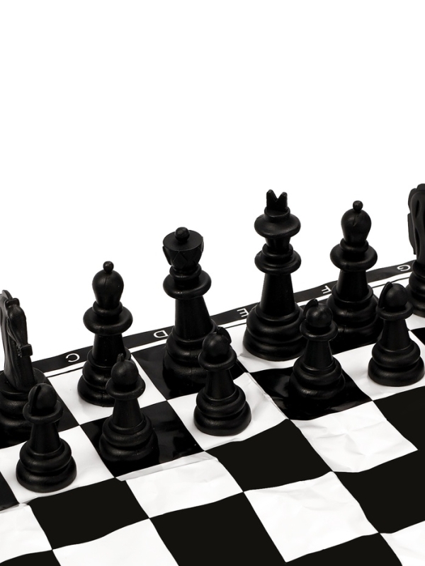 Шахматы 22 х 22 см, король h-4.4 см, d-1.8 см, фигуры пластик Шахматы 22 х 22 см, король h-4.4 см, d-1.8 см, фигуры пластик