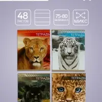 Тетрадь 48 листов в клетку, Calligrata «Дикие кошки», обложка мелованная бумага, МИКС Тетрадь 48 листов в клетку, Calligrata «Дикие кошки», обложка мелованная бумага, МИКС