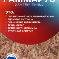 Корм для рыб и черепах &laquo;Пижон&raquo; гаммарус измельченный, 3.3 л